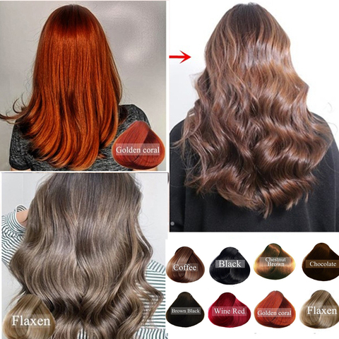 1PC Mild Formula Ginger Extracts Multicolor Instant Hair Dye Plant Formula Hair Shampoo 5 Minutues Colored Hair Styling Tools ► Photo 1/1