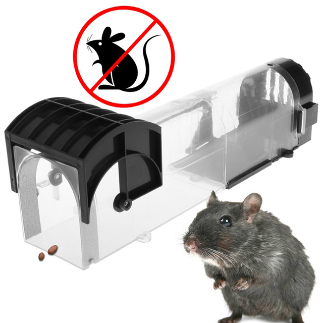 2PCS Small Size Traps Live Animal Humane Trap Catch and Release Rats Mouse  Mice Rodents Cage - AliExpress