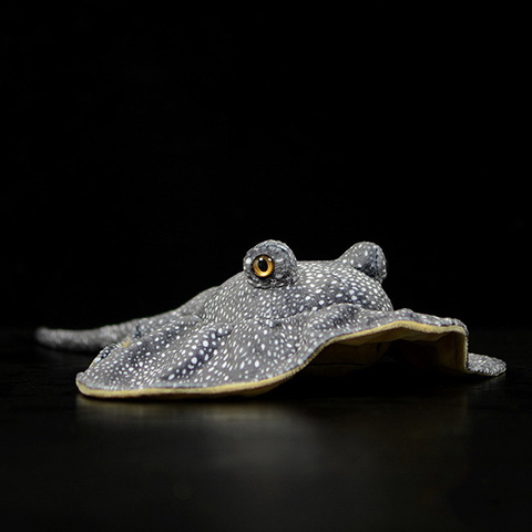 50cm Length Lifelike Honeycomb Stingray Plush Toy Real Life Soft Real Life Ray Fish Realistic Sea Animals Stuffed Toys For Kids ► Photo 1/6
