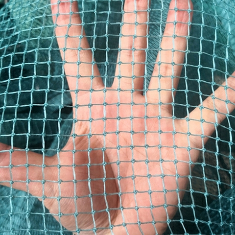 Gardening net Breeding net Fishing net Bird net aquaculture Agricultural protection net Agricultural protection Grid size 1cm ► Photo 1/6