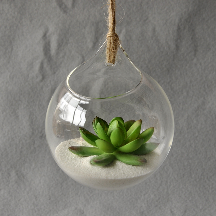 High Borosilicate Glass Plants Holder Hanging Terrarium Vase Office Planter Transparent Ornament Container Home Decor ► Photo 1/6