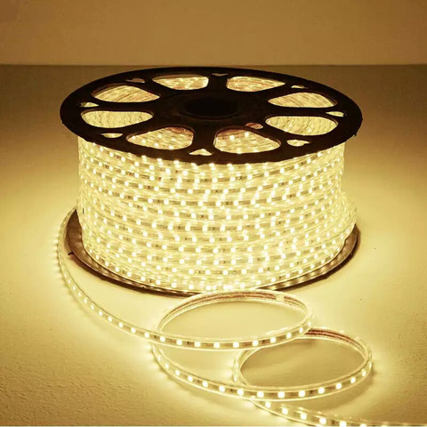 High Brightness Flexible LED Strip light AC220 Waterproof IP68 Led Ribbon Light Dimmable / ON/OFF Power Plug Rope light ► Photo 1/6