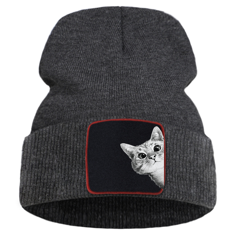 Hats Funny Kitten Cat Print Man Winter Knitted Hat Hip Hop Warm Fashion Hats Women Autumn Outdoor Solid Color Caps For Boys ► Photo 1/6