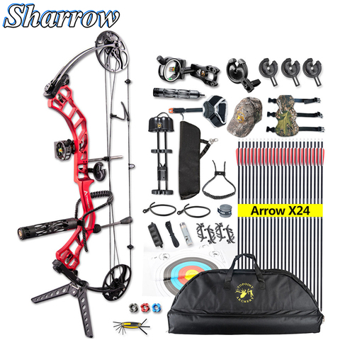 1Set Tournament Compound Bow 19-70lbs Adjustable Import Limb Archery Professional Shooting with Bow and Arrow Set Accessories ► Photo 1/6