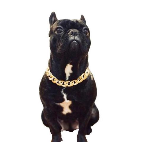 Fashion Pet Dog Cat Puppy KittenNecklace Collars Thick Puppy Chain Gold Safety Dogs Supplies Identified Collar Plated Plast L0K8 ► Photo 1/6