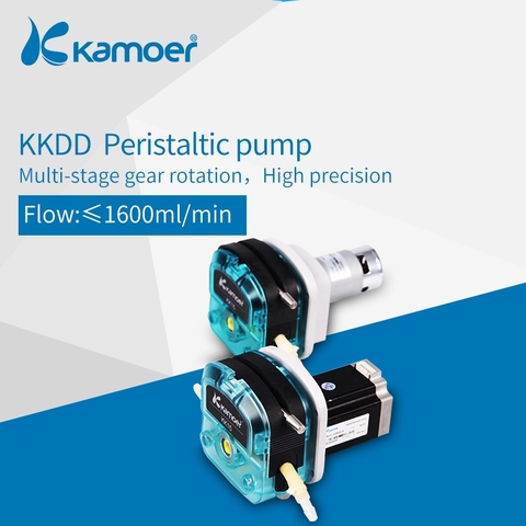 Kamoer Multi-stage Gear Transmission DC Motor KKDD Peristaltic Pump For Liquid Transfer (Single/Double Head) ► Photo 1/4