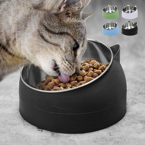 Cute Cat Dog Bowl To Protect The Cervical Spine 15 Degree Oblique Mouth Pet Stainless Steel Food Bowls For Cat Supplies Durable ► Photo 1/6