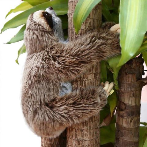 24cm HOT Stuffed Toy Three Toed Cuddly Lying Animals Lifelike Cute Soft Plush Sloth Critters Children Gifts Doll Birthday ► Photo 1/6