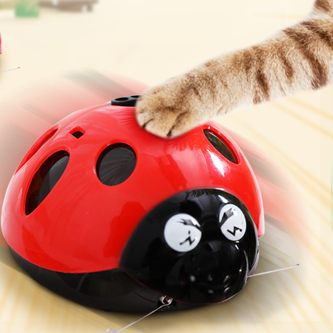 [MPK Store] Catch Me If You Can Super Fun Cat Toy, Pet Toy, Watch Our Video To Know More ► Photo 1/6