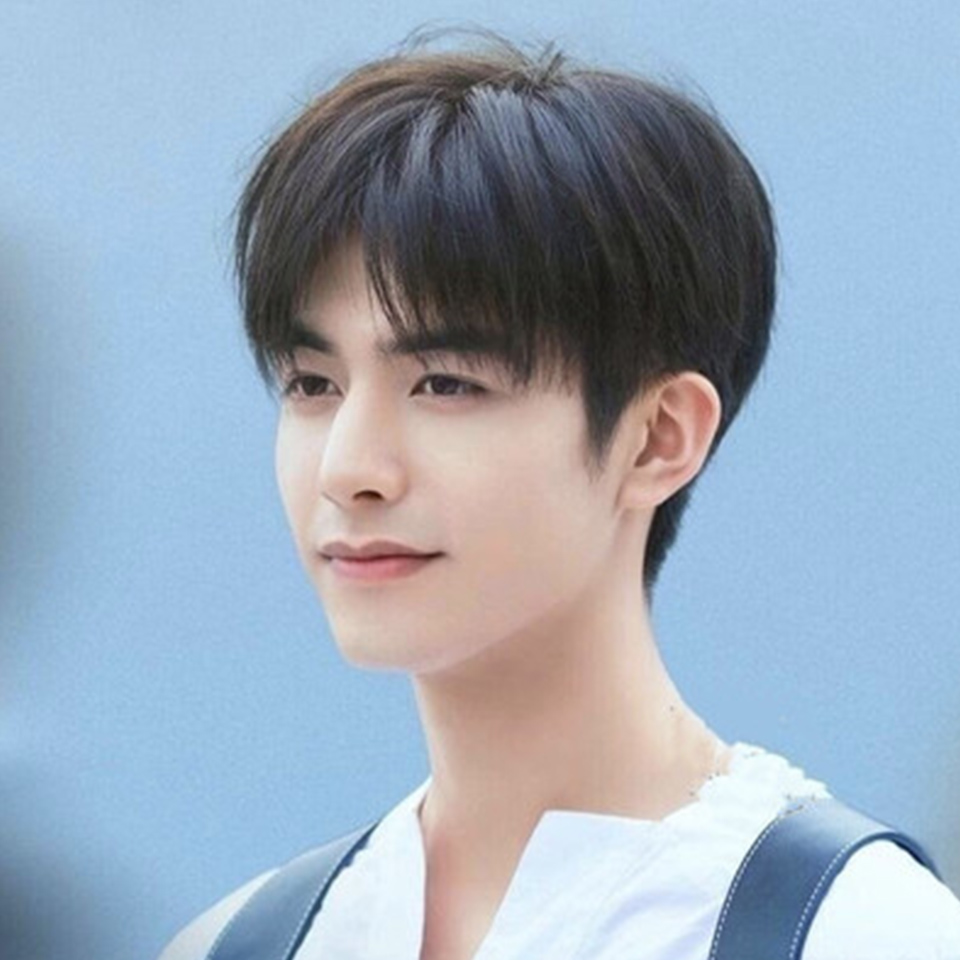 HOUYAN Male short hair Korean style handsome wig full headgear natural  synthetic center bangs clipped to the hair short straight - Price history &  Review | AliExpress Seller - HOUYAN Store | Alitools.io