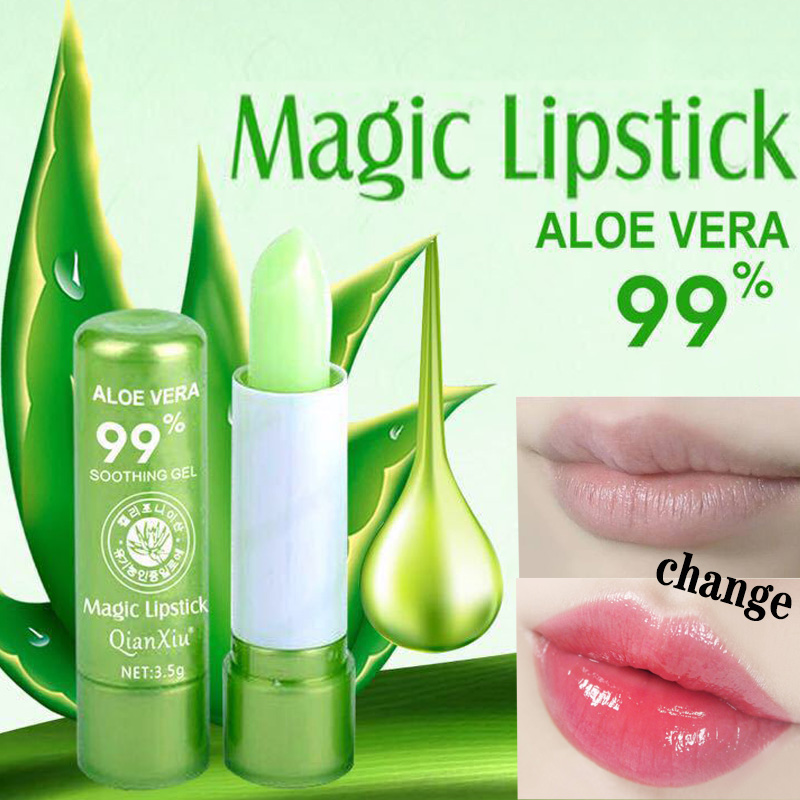 alocasia amazonica größe Alocasia Amazonica main image 1