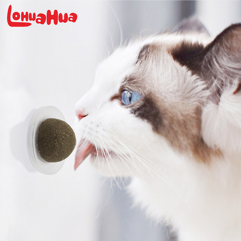 Natural Catnip Cat Toy Crazy Healthy Catmint Toys For Cats Kitten Kedi Cleaning Teeth Play Ball Cat Supplies Pet Products ► Photo 1/6