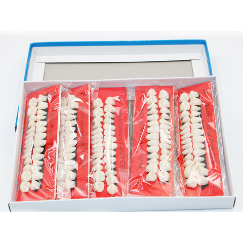10 sets Dental Material Plastic Teeth Teaching Model Dedicated Teeth Dental Material Useful Teeth Care Dentist Tools A2 Type ► Photo 1/6