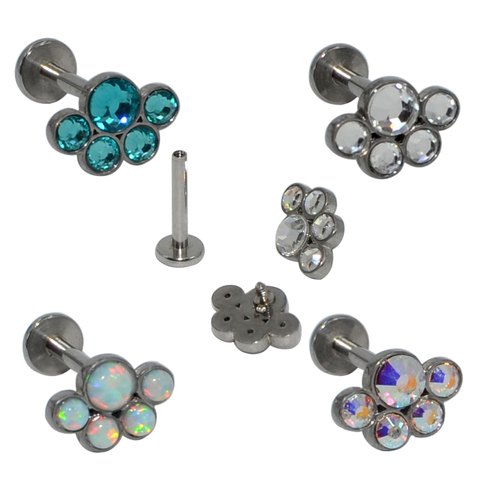 1PC G23 Titanium&Steel Internal Threaded Bear Paw Opal CZ Gem Flower Ear Tragus Helix Cartilage Earring Lip Stud Labret Bar Ring ► Photo 1/6