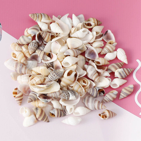 1 Box Pattern Nature Beach Fashion Shells Sea Shells For DIY Caft Decor Jewelery Craft Accessories Holes Shell Charm Nail Shell ► Photo 1/6