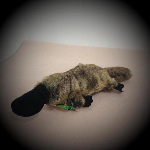 12cm Cute Little Platypus Plush Toys Meme Simulation Stuffed Animal Dolls for Christmas Gift Key Pendent ► Photo 1/2