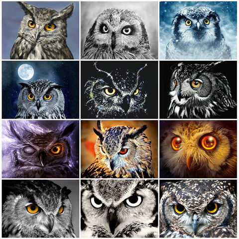 HUACAN Full Drill Diamond Painting 5D Owl DIY Diamond Embroidery Sale Animal New Arrival Mosaic Home Decor ► Photo 1/6