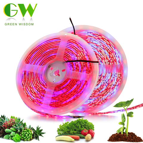 LED Plant Grow Lights Full Spectrum Phytolamp for Plants Flowers Seeds Phyto Tape SMD 5050 LED Strip for Greenhouse Grow Tent 5M ► Photo 1/6