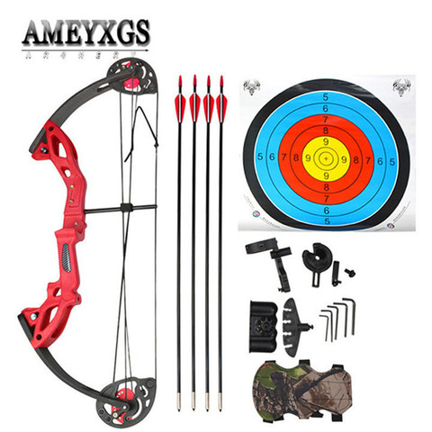 1set Youth Compound Bow Set 15-29lbs Draw Weight With Target Paper Hunting Shooting Training Beginner Archery Sports Pulley Bow ► Photo 1/6