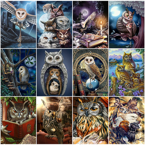 Evershine 5D Diamond Painting Full Drill Square Owl Diamond Embroidery Mosaic Animal DIY Cross Stitch Needlework Handicraft ► Photo 1/6
