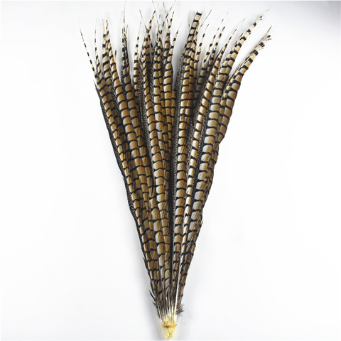 10Pcs/Lot Natural Lady Amherst Pheasant Feathers for Crafts 10-120cm/4-48