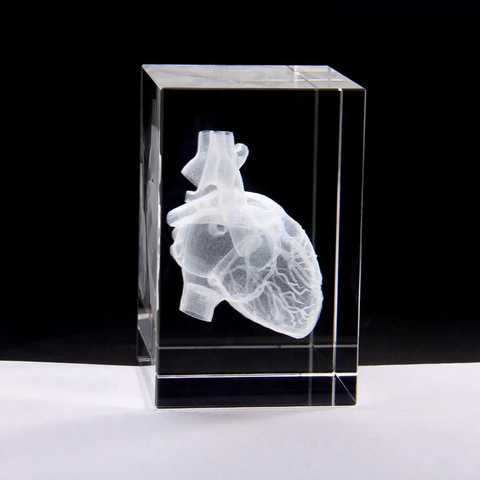 Heart Anatomy Model Design Cube Crystal 3D Laser Crystal Engraving With Detailed Visible Blood System For Hospital Souvenirs ► Photo 1/6