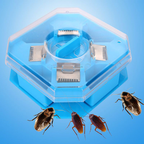 Non-Toxic Effective Fly Trap Pest Device Insect Catcher Cockroach Fly Trap Catching Artifacts Insect Trap Roach Killer Dropship ► Photo 1/6