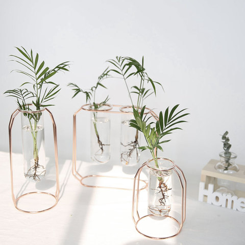 Nordic Golden Glass Vase Iron Hydroponic Plant Flower Vase Tabletop Coffee Shop Office Home Decoration Accessories Modern ► Photo 1/6