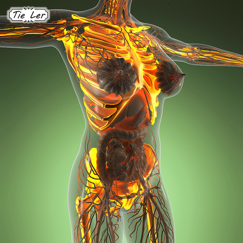 TIE LER The Skeleton of The Body Structure Nervous System Poster Bar Home Decor Retro Kraft Paper Wall Sticker 42x30cm ► Photo 1/6