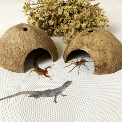 Reptile Hide Habitat Natural Coconut Shell Lizard Spider Small Animal Cave House ► Photo 1/6