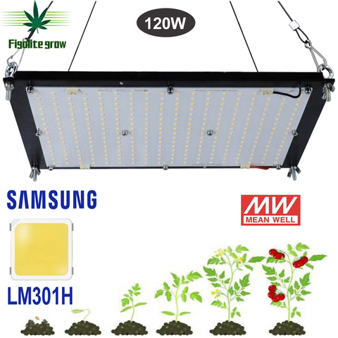 Dimmable LED Grow Light UV IR Quantum Tech Board Samsung LM301B V2 120W 240W 320W 480W with Meanwell Driver 7 years Warranty ► Photo 1/6