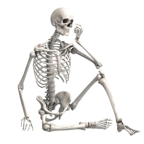 90cm Durable Simulation Human Skeletons Ornament Halloween Harmless Party Bar Haunted House Props Art lifelike Halloween toys ► Photo 1/3