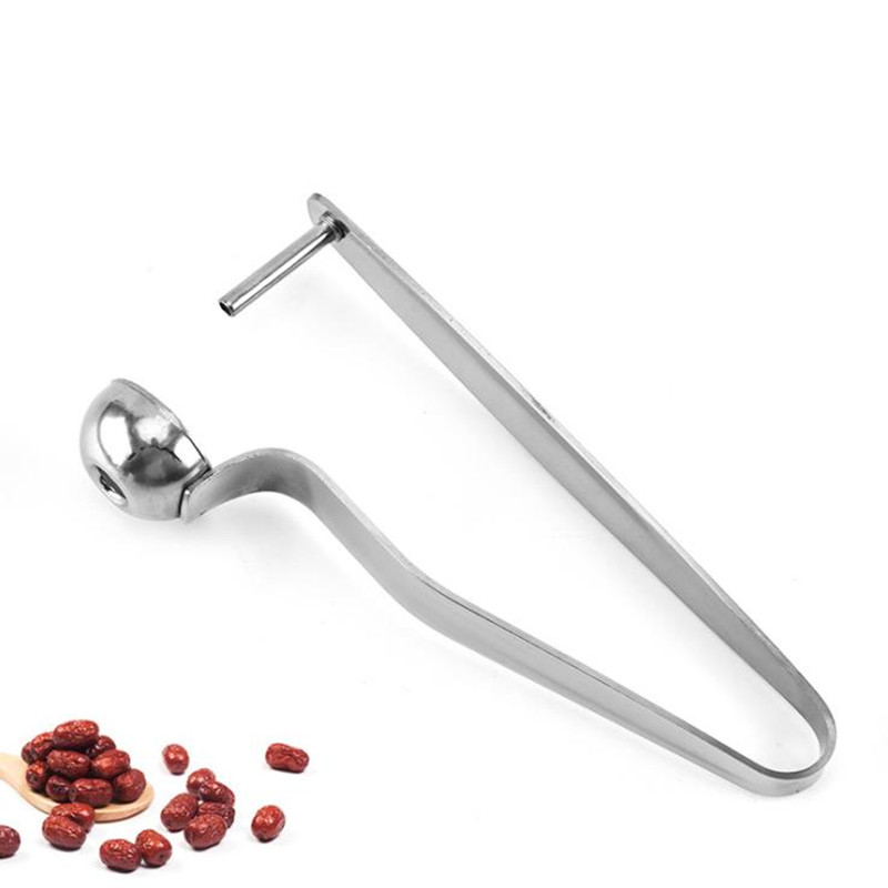 Buy Online 21 Stainless Steel Cherry Pitters Long Handle Fruit Corer Seed Remover For Jujube Hawthorn Fruit Vegetable Tool Alitools