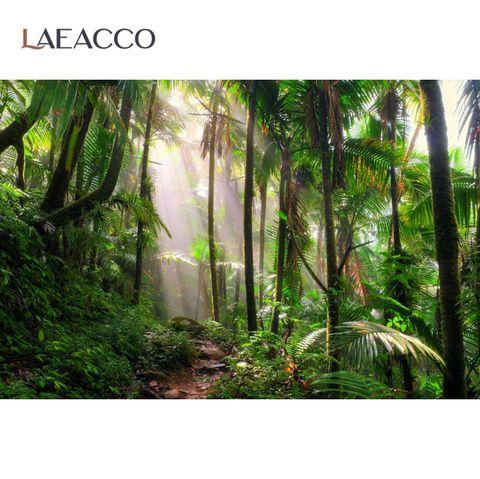 Laeacco Tropical Jungle Rain Forest Palms Tree Green Natural Scenic Photo Backdrop Photography Background For Photo Studio ► Photo 1/6