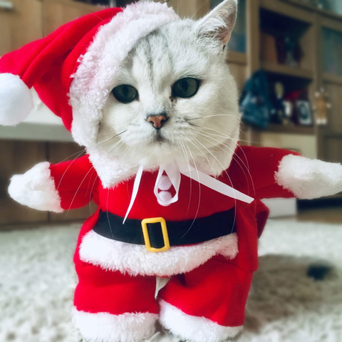 Winter Christmas Pet Cat Costumes Funny Santa Claus Clothes For Small Cats Dogs Xmas New Year Cat Clothing Kitty Kitten Outfits ► Photo 1/6