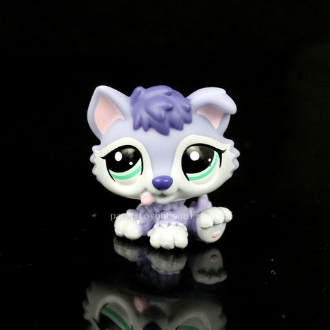 Rare Pet Shop Blue Purple White Husky Baby Wolf Puppy Dog lps #1810 ► Photo 1/3