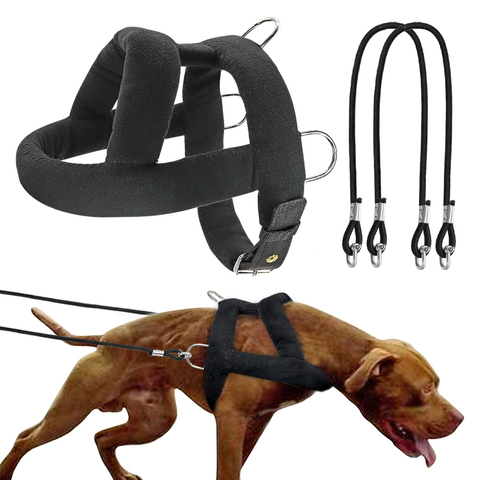 Adjustable Dog Weight Pulling Training Harness Pulling Leash For Medium Large Work Dogs Husky Weight Pulling Harnesses Vest ► Photo 1/6