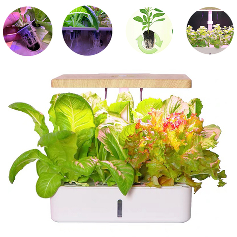 Hydroponic box Intelligent  vegetable planters 12Hole home indoor soilless cultivation equipment hydroponic vegetable cultivator ► Photo 1/6