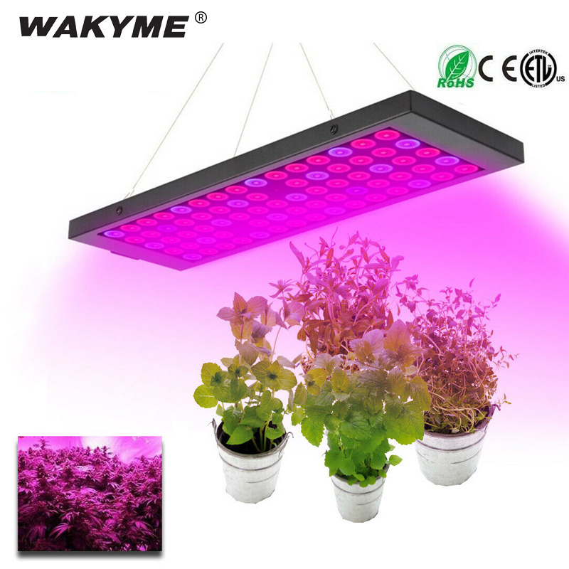600W LED Grow Light Full Spectrum Indoor Plant Hydroponic Veg Flower Lamp 