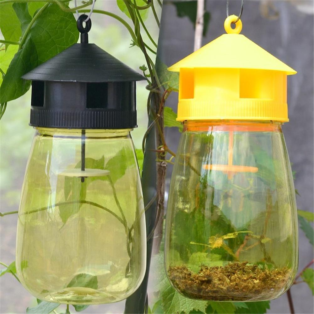 Fly Wasp Trap Fruit Flies Insect Bug Hanging Tree Bee Honey Catcher Killer Kit 