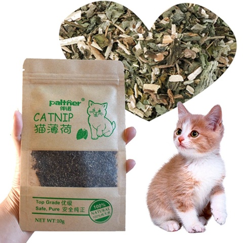 1PC Catnip Organic 100% Natural Premium Cattle Grass 10g Menthol Flavor Clean Teeth Healthy Funny Cat Care Toys Pet Products ► Photo 1/6