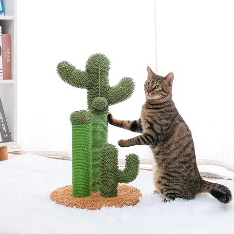 Drop Shipping Cactus Pet Cat Tree Toys with Ball Scratcher Posts for  Cat Toy Protecting Furniture Fast Delivery ► Photo 1/5