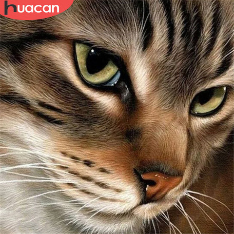 HUACAN 5d Diamond Painting Full Drill Square Cat Diamond Mosaic Accessories Animal Rhinestones Pictures Wall Art ► Photo 1/6