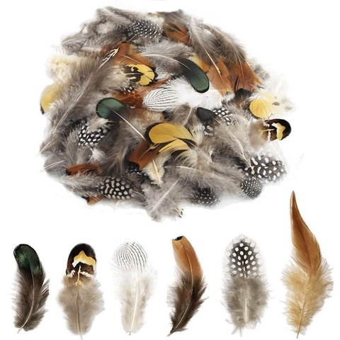 Wholesale Natural Pheasant Peacock Feathers for Crafts Jewelry Making  Accessories Decoration Plumes 5-15CM 20/50/100PCS