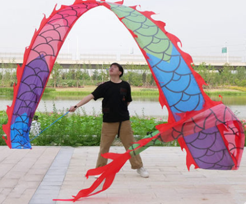 6M/ 8M/10M Fitness Colorful Streamer Dragon Adult Dragon Dance Performance Ribbon Outdoor Sports Park Fitness Group Activities ► Photo 1/1