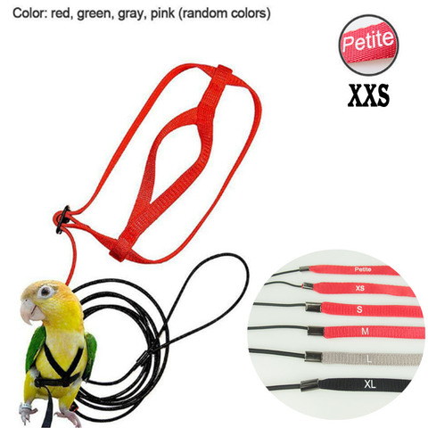 Adjustable Parrots Bird Harness Leash Anti-Bite Training Rope Outdoor Flying Harness Leash ► Photo 1/5
