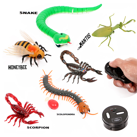 Buy Online Infrared Remote Control Animal Insect Toys Simulation Snake Bee Electronic Robot Toy For Cat Dog Halloween Prank Funny Toys Alitools