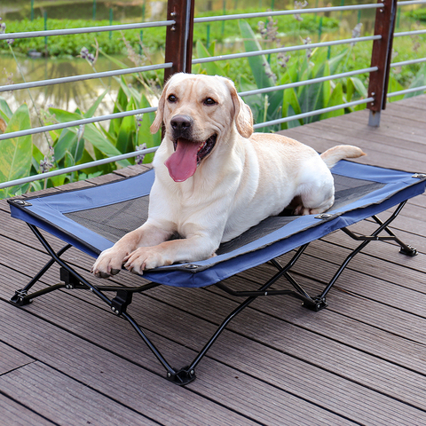 Large Elevated Folding Pet Bed Cot Travel Portable Breathable Cooling Mesh Sleeping Dog Bed ► Photo 1/6