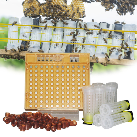 Nicot Bee Queen Rearing Kit Goods Tools For Beekeeper Supplies ► Photo 1/6