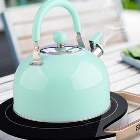 Non-magnetic Teakettle Stainless Steel Sounding Kettle Thickening Water Heater Kettle Whistle Heating Water Pot Random Color ► Photo 1/6